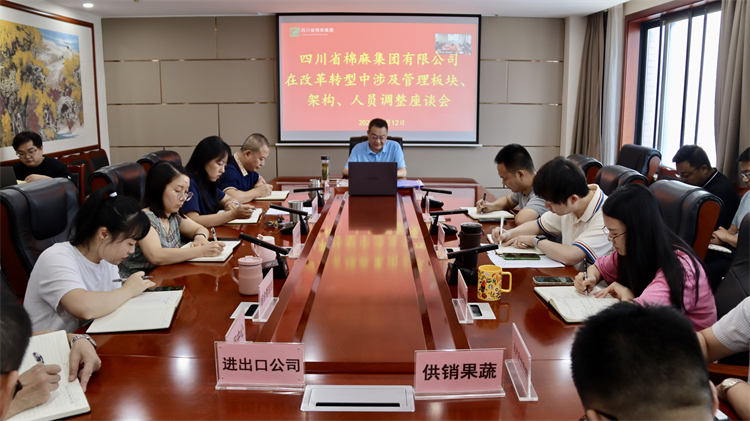 集團公司召開在改革轉型中涉及管理板塊、架構、人員調整座談會