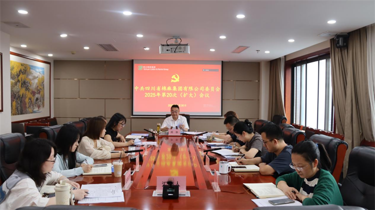 集團公司召開2025年第20次黨委（擴大）會議