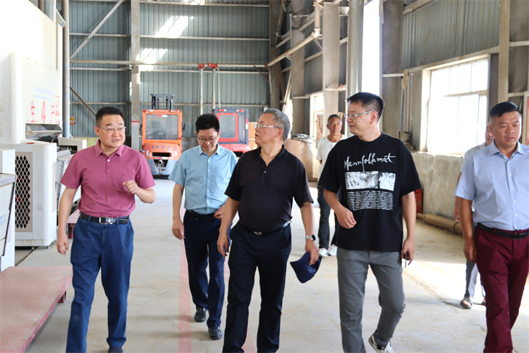 1659492932283988.jpg mtxx05.jpg