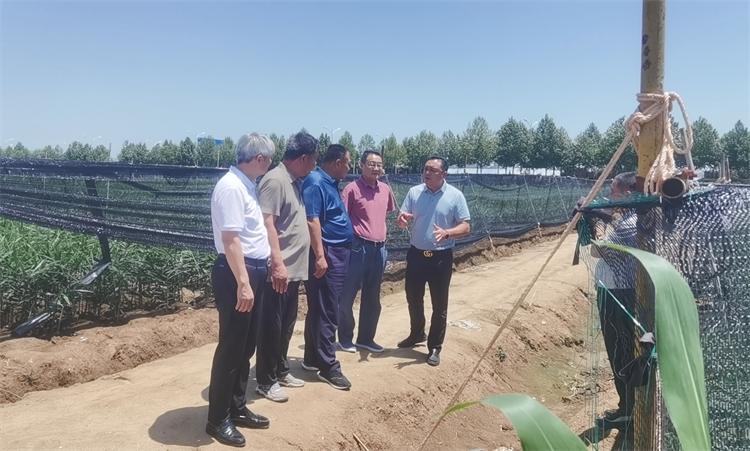 1688546204976126.jpg f05afe6556384badc728c380d4db720.jpg