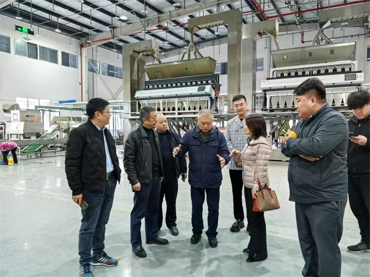 1732505749596072.png 圖片1.png